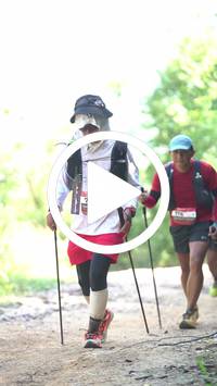 BIB:  <button type="button" onclick="openModal(27920991)" class="btn btn-primary btn-sm float-right" data-toggle="modal" data-target=".modal-high-quality">
                <i class="fa fa-download"></i> Download
                </button>